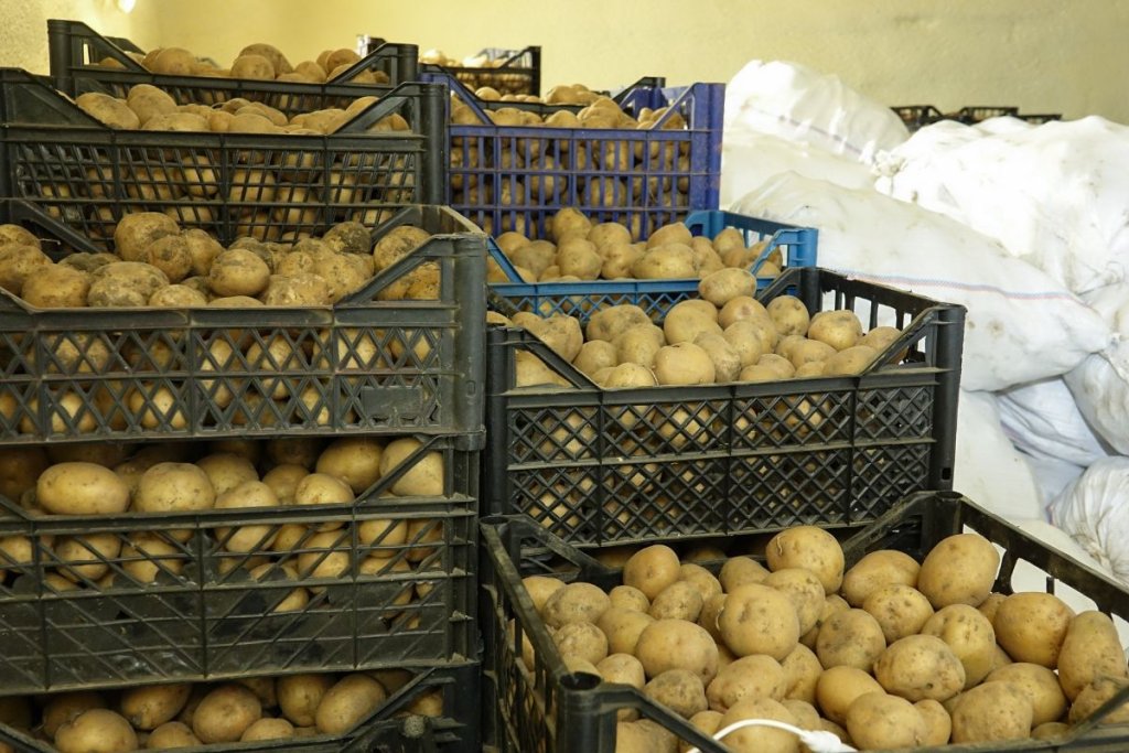 Reducing Food Loss in Nigeria: Strategies for Sustainable Agriculture & Food Security
